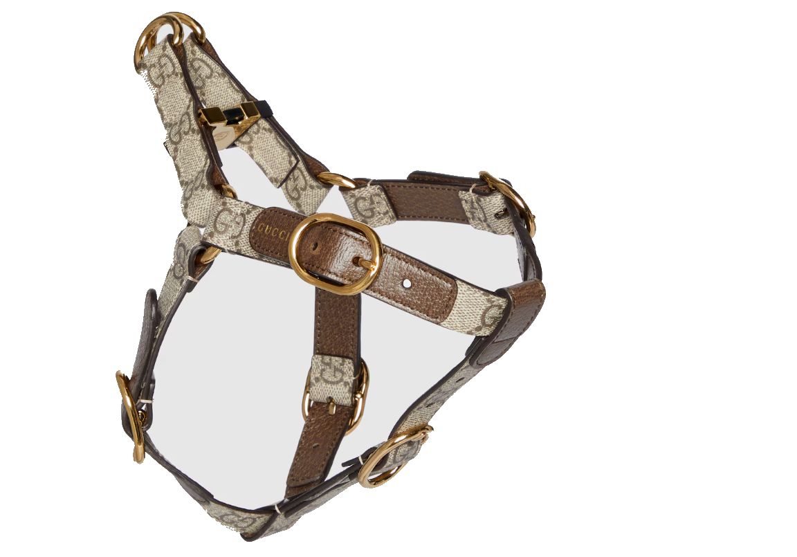 Gucci Hundehalsband GG Supreme Canvas